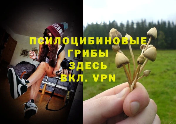 PSILOCYBIN Белоозёрский